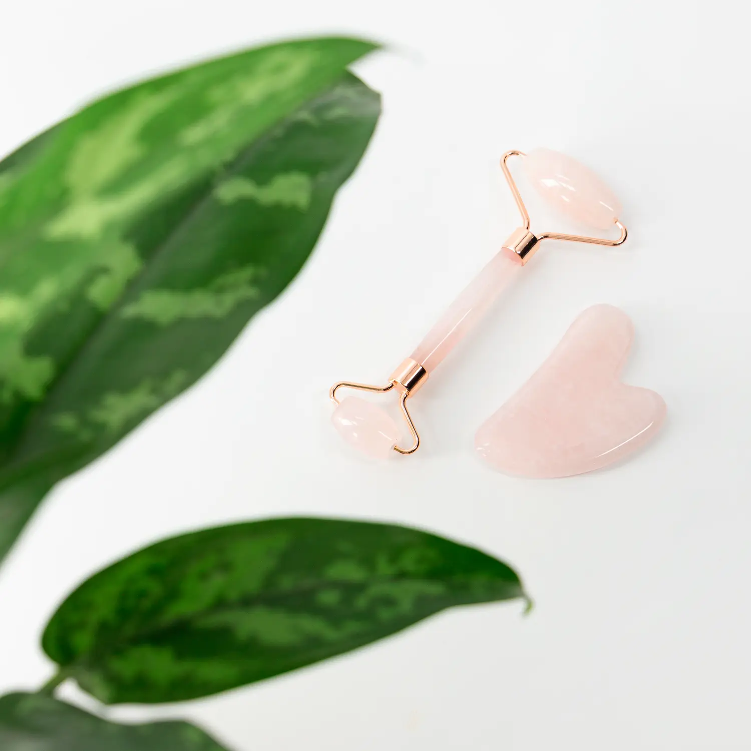 Jade Rollers and Gua Sha Set