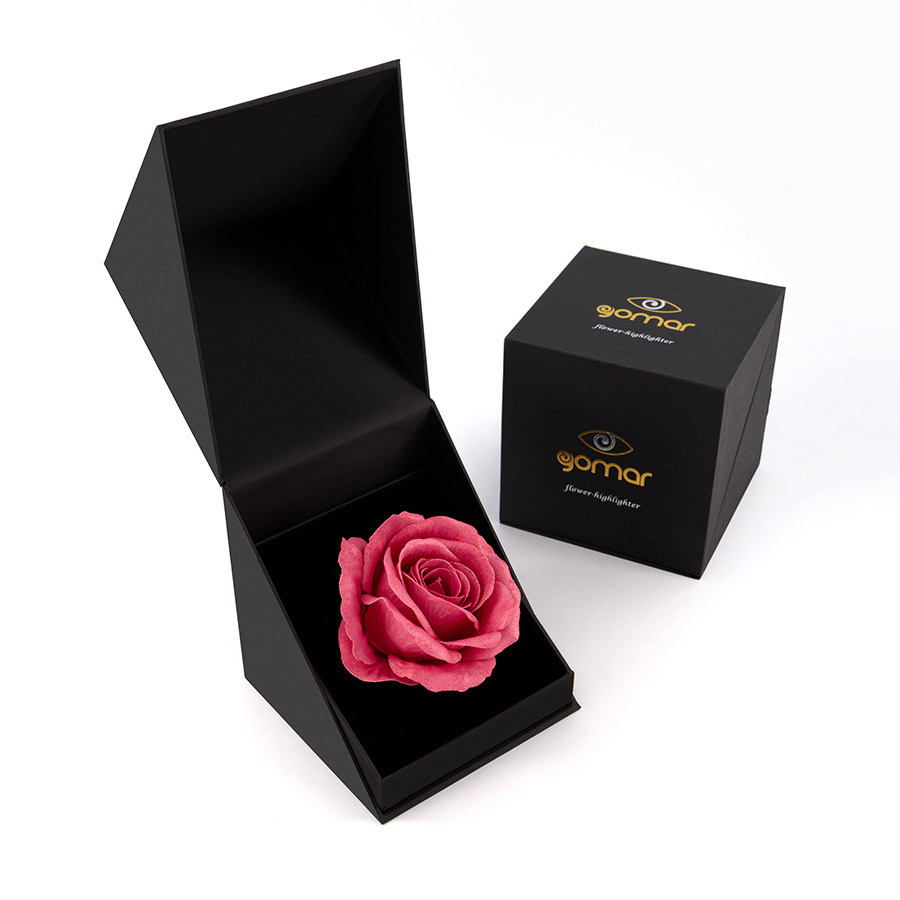 Dandy ⓢⓟⓔⓒⓘⓐⓛ ⓔⓓⓘⓣⓘⓞⓝ